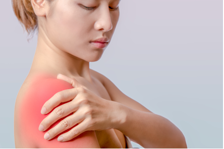 The rotator cuff